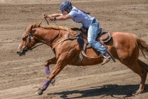 Karoll-Ann Nault Daigle Équitation