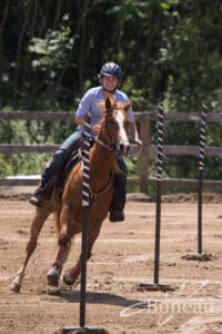Karoll-Ann Nault Daigle Chevaux